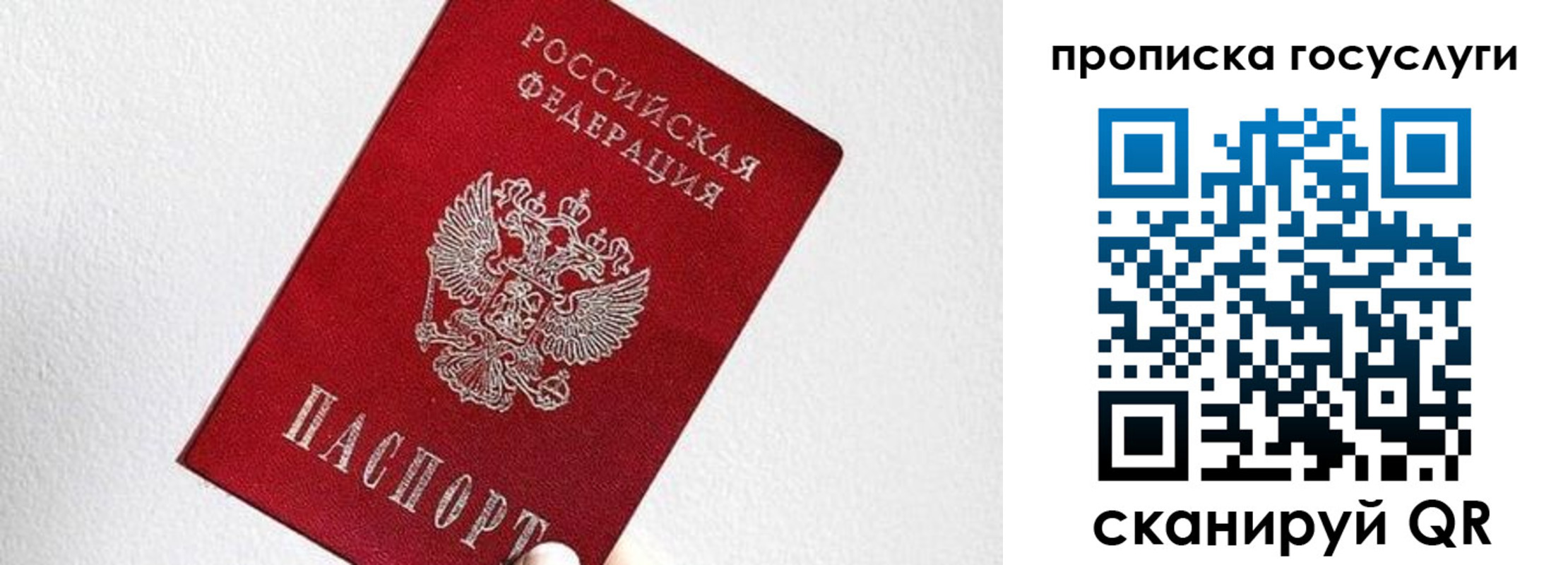 прописка законно в Ярославской области